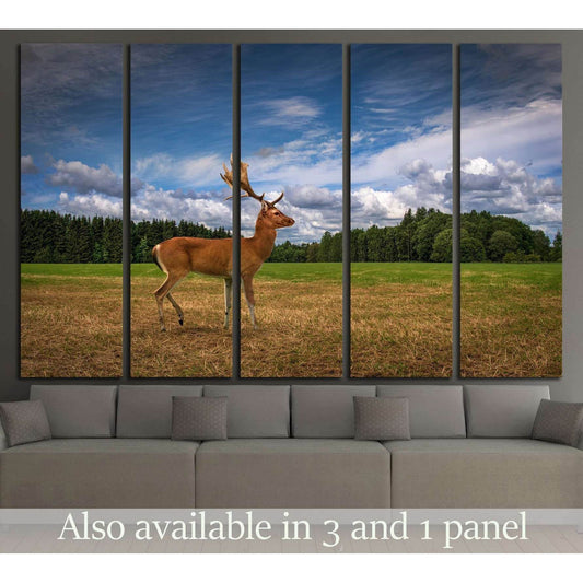 Deer in a Field №2361 Ready to Hang Canvas Print - Zellart Canvas Prints ALL_Products, s-2361
