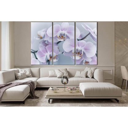 Delicate Orchid Flowers №SL710 Ready to Hang Canvas Print - Zellart Canvas Prints 0new, ALL_Products, Floral & Botanical Wall Art