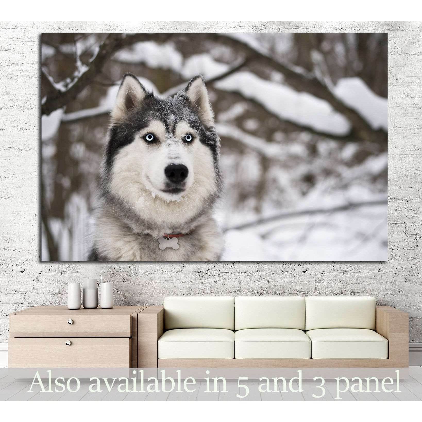 Dog and Snow №1 Ready to Hang Canvas Print - Zellart Canvas Prints ALL_Products, s-1