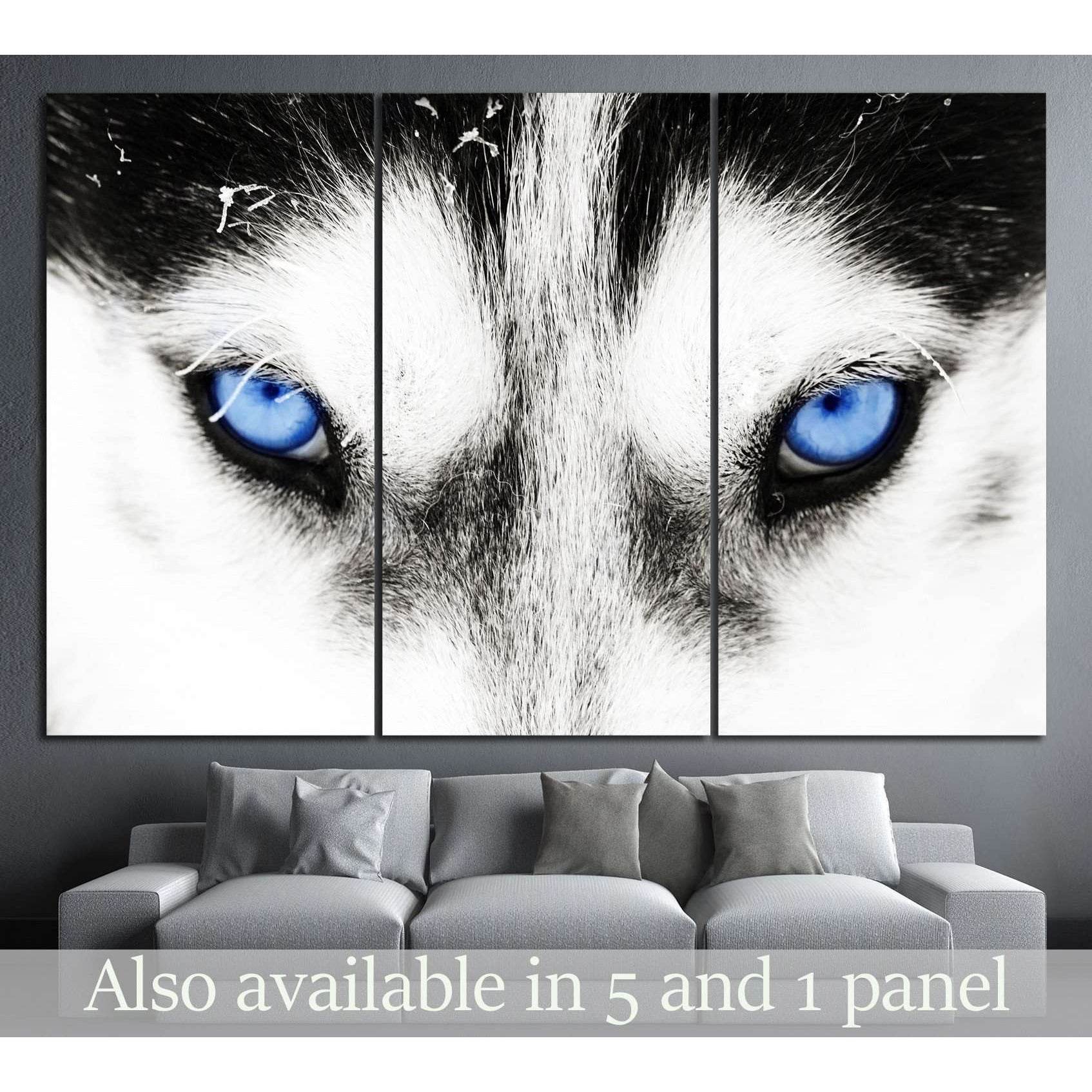 Dogs blue eyes №10 Ready to Hang Canvas Print - Zellart Canvas Prints ALL_Products, s-10