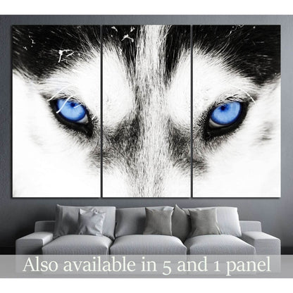 Dogs blue eyes №10 Ready to Hang Canvas Print - Zellart Canvas Prints ALL_Products, s-10