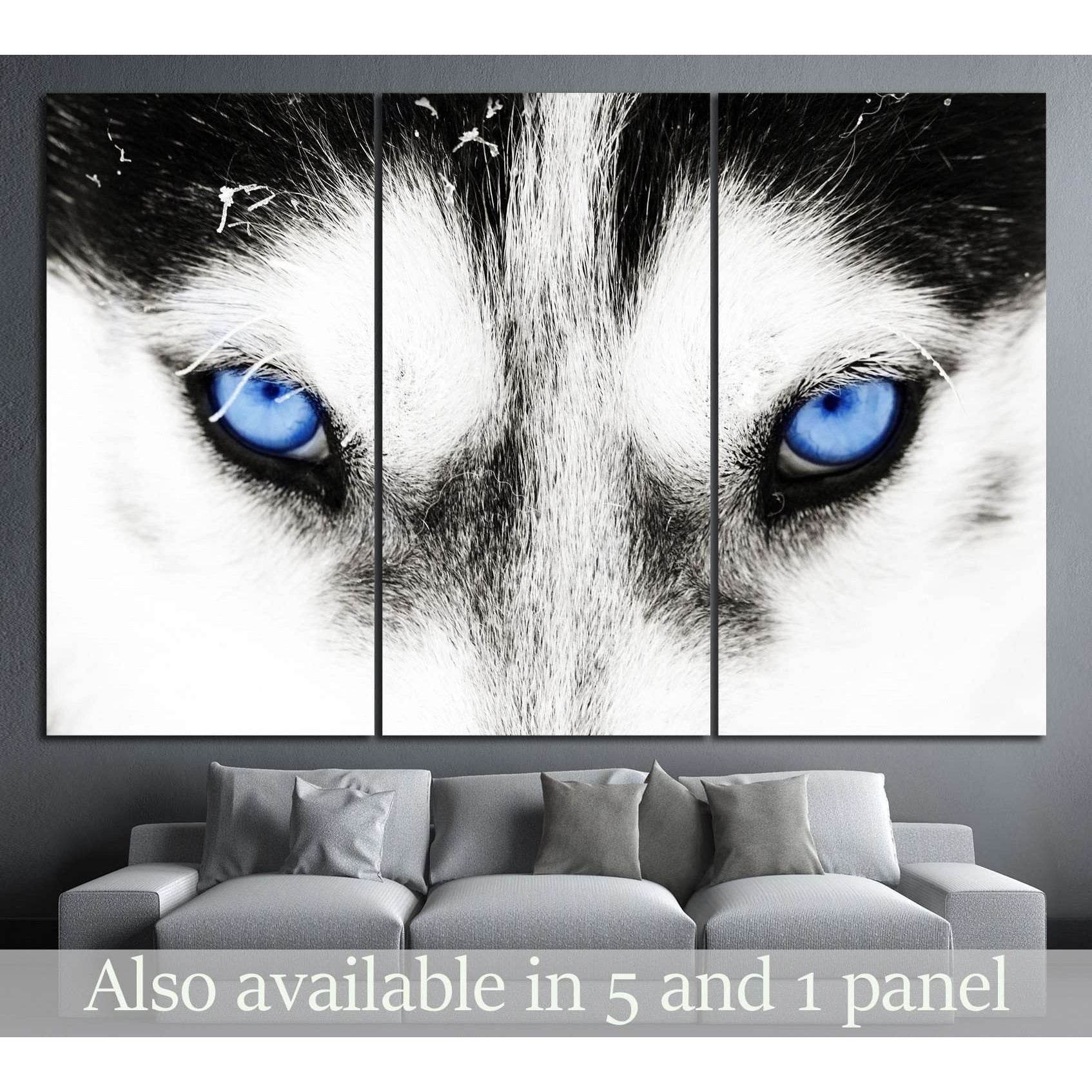 Dogs blue eyes №10 Ready to Hang Canvas Print