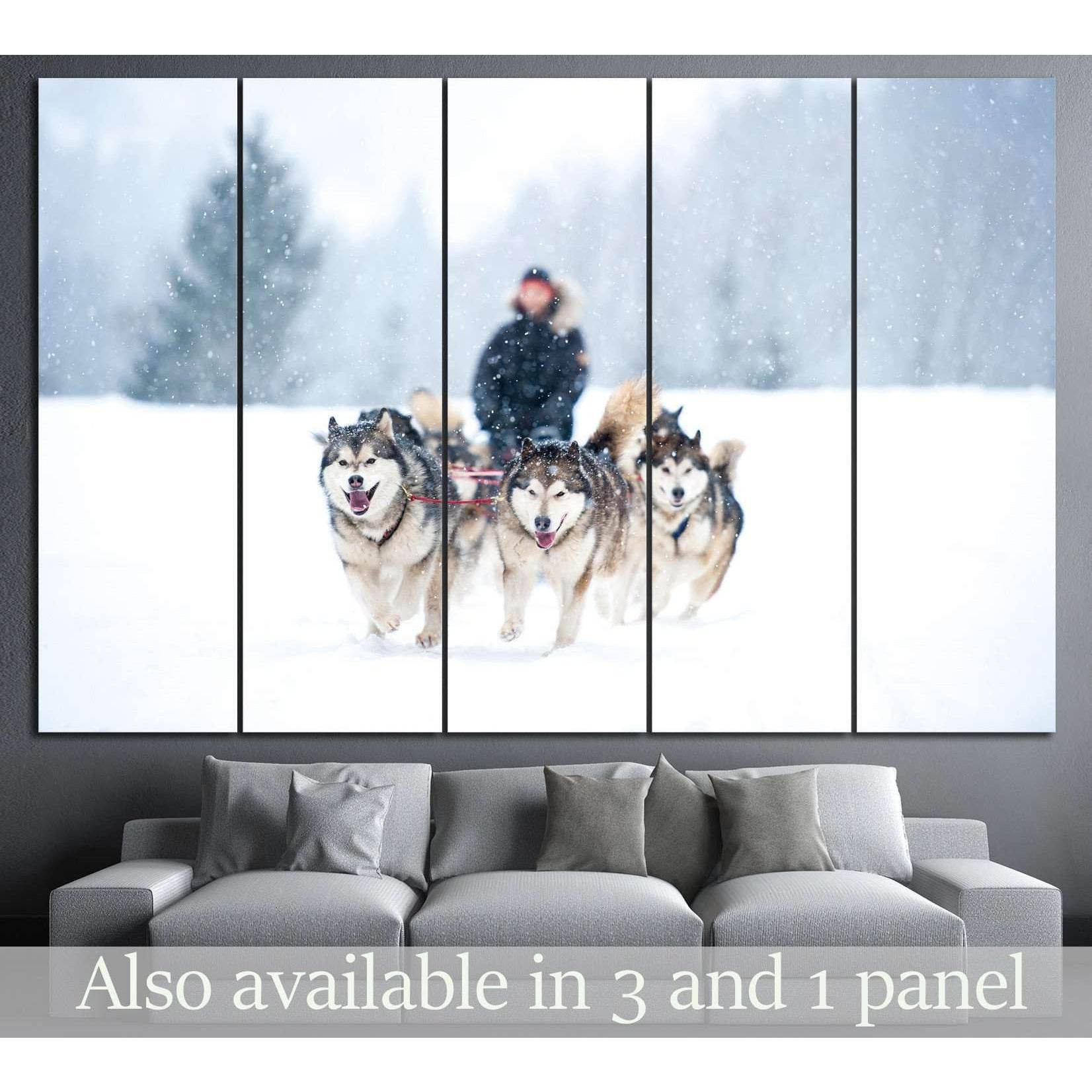 Dogs team and Snow №7 Ready to Hang Canvas Print