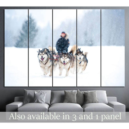 Dogs team and Snow №7 Ready to Hang Canvas Print - Zellart Canvas Prints ALL_Products, s-7