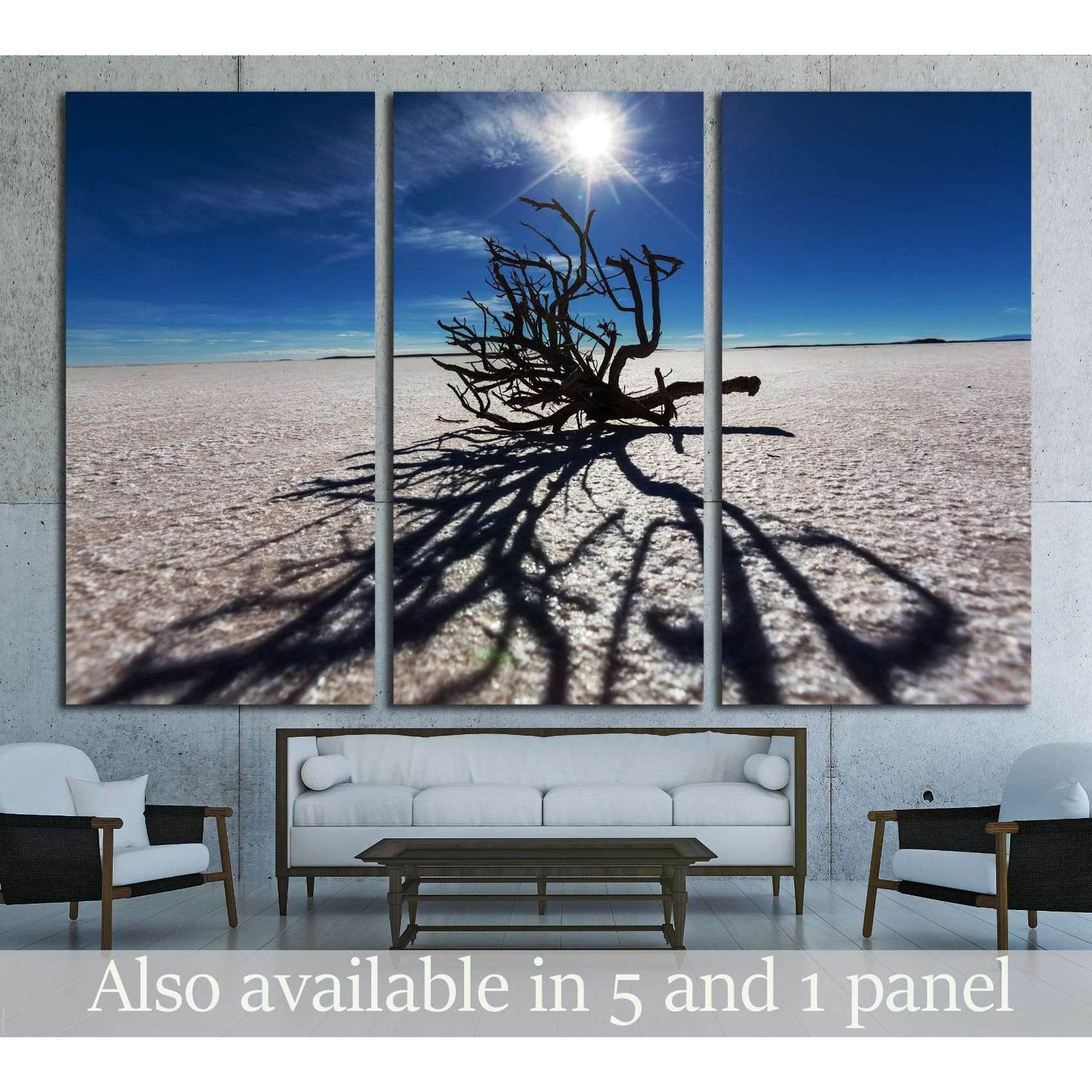 Dry tree in Salar de uyuni, Bolivia №1964 Ready to Hang Canvas PrintCanvas art arrives ready to hang, with hanging accessories included and no additional framing required. Every canvas print is hand-crafted, made on-demand at our workshop and expertly str