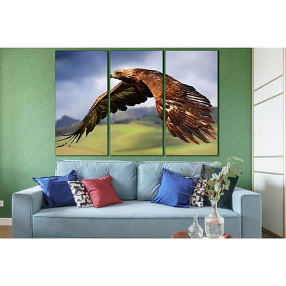 Eagle's Graceful Flight №SL1033 Ready to Hang Canvas Print - Zellart Canvas Prints 0new, ALL_Products, Animals & Wildlife