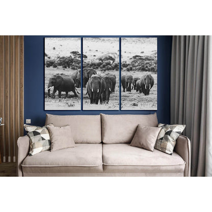 Elephant Herd In Africa №SL1531 Ready to Hang Canvas Print - Zellart Canvas Prints 0new, ALL_Products, Animals & Wildlife, Elephant