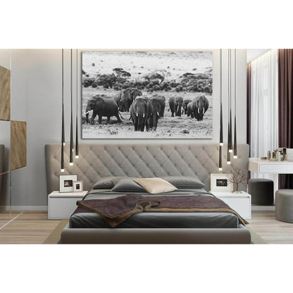 Elephant Herd In Africa №SL1531 Ready to Hang Canvas Print - Zellart Canvas Prints 0new, ALL_Products, Animals & Wildlife, Elephant