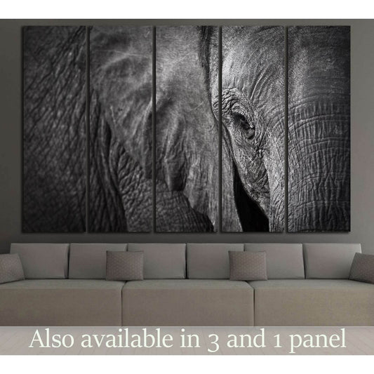 Elephant №192 Ready to Hang Canvas PrintCanvas art arrives ready to hang, with hanging accessories included and no additional framing required. Every canvas print is hand-crafted, made on-demand at our workshop and expertly stretched around 100% North Ame
