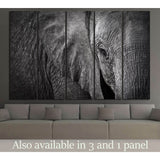 Elephant №192 Ready to Hang Canvas Print