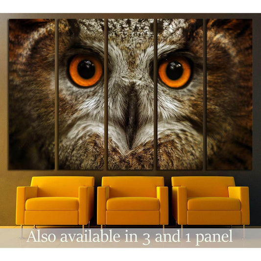 European eagle owl. Eurasian eagle owl. Close-up face. Big eyes. wisdom. The evil eye. (Owl, Bubo bubo) №2374 Ready to Hang Canvas PrintCanvas art arrives ready to hang, with hanging accessories included and no additional framing required. Every canvas pr