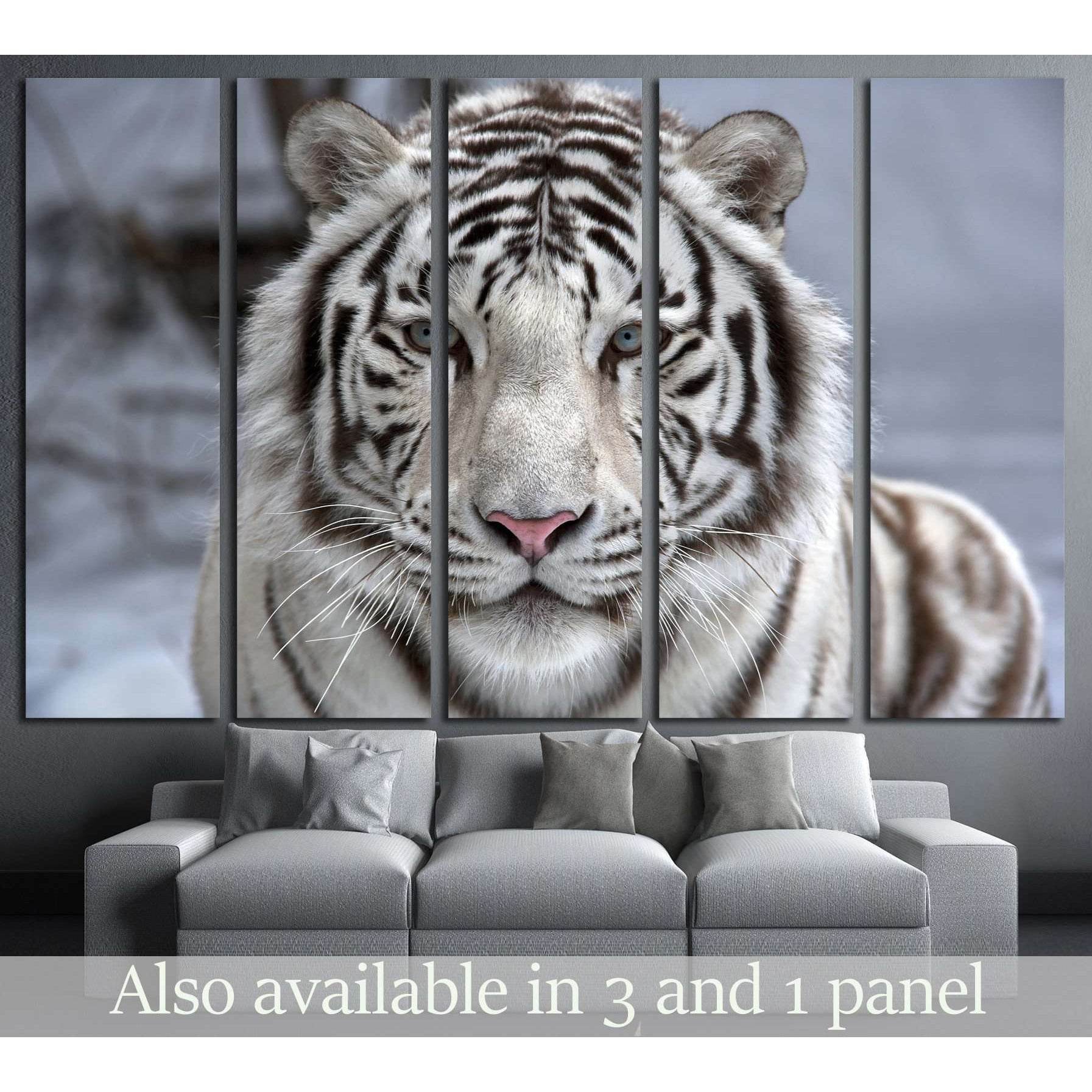 Face to face with white bengal tiger №2345 Ready to Hang Canvas PrintCanvas art arrives ready to hang, with hanging accessories included and no additional framing required. Every canvas print is hand-crafted, made on-demand at our workshop and expertly st