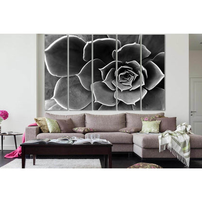 Flower Close Up Black And White №SL838 Ready to Hang Canvas Print - Zellart Canvas Prints 0new, ALL_Products, Black & White Wall Art