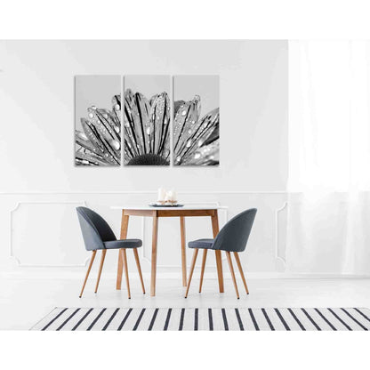 Flower in drizzle №D2828 Ready to Hang Canvas Print - Zellart Canvas Prints 0new, ALL_Products, Black & White Wall Art