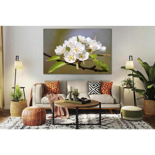 Flowering Pear №SL495 Ready to Hang Canvas Print - Zellart Canvas Prints 0new, ALL_Products, Trees Wall Art