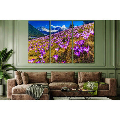 Flowers On The Alps Mountains Slopes №SL1598 Ready to Hang Canvas Print - Zellart Canvas Prints 0new, ALL_Products, Mountains Wall Art, Nature Wall Art