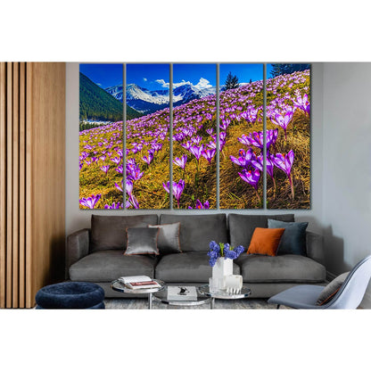 Flowers On The Alps Mountains Slopes №SL1598 Ready to Hang Canvas Print - Zellart Canvas Prints 0new, ALL_Products, Mountains Wall Art, Nature Wall Art