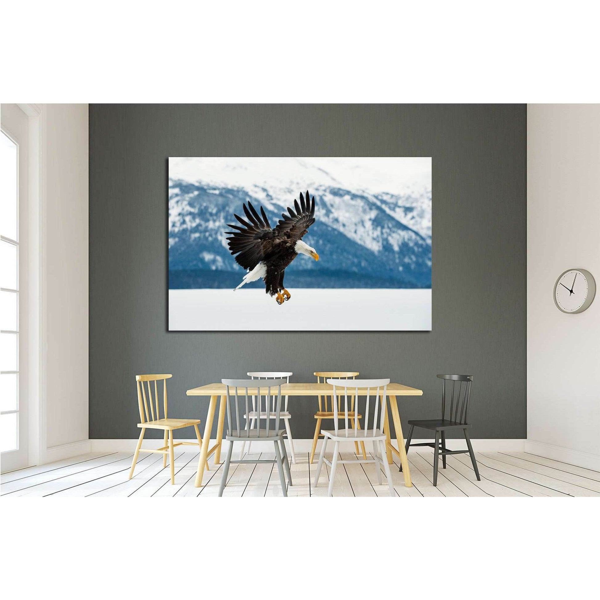 Flying bald eagle, Winter Alaska. USA №1858 Ready to Hang Canvas PrintCanvas art arrives ready to hang, with hanging accessories included and no additional framing required. Every canvas print is hand-crafted, made on-demand at our workshop and expertly s