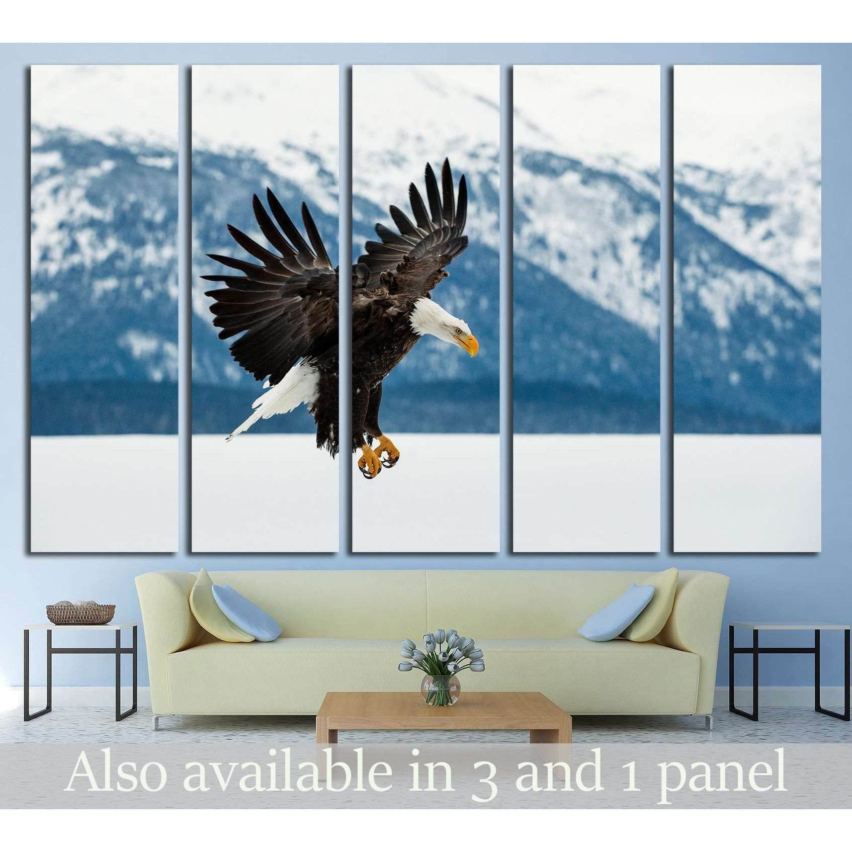 Flying bald eagle, Winter Alaska. USA №1858 Ready to Hang Canvas Print