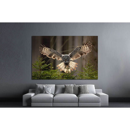 Flying Great Grey Owl, Strix nebulosa №1331 Ready to Hang Canvas Print - Zellart Canvas Prints ALL_Products, Owl, s-1331