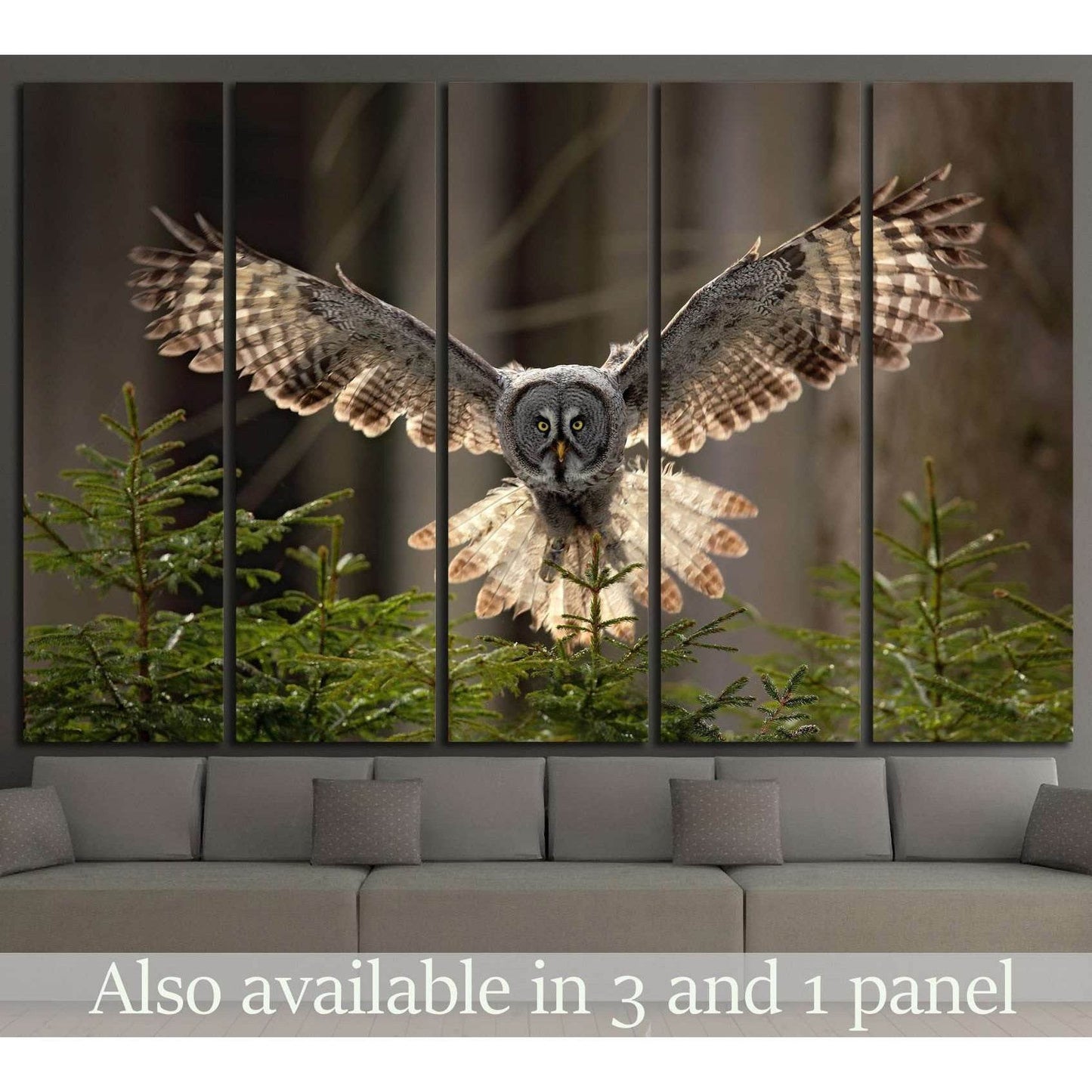 Flying Great Grey Owl, Strix nebulosa №1331 Ready to Hang Canvas Print - Zellart Canvas Prints ALL_Products, Owl, s-1331
