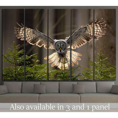 Flying Great Grey Owl, Strix nebulosa №1331 Ready to Hang Canvas Print - Zellart Canvas Prints ALL_Products, Owl, s-1331