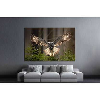 Grey Owl, Strix nebulosa Wall ArtDecorate your walls with a stunning Owl Canvas Art Print from the world's largest art gallery. Choose from thousands of Owl artworks with various sizing options. Choose your perfect art print to complete your home decorati