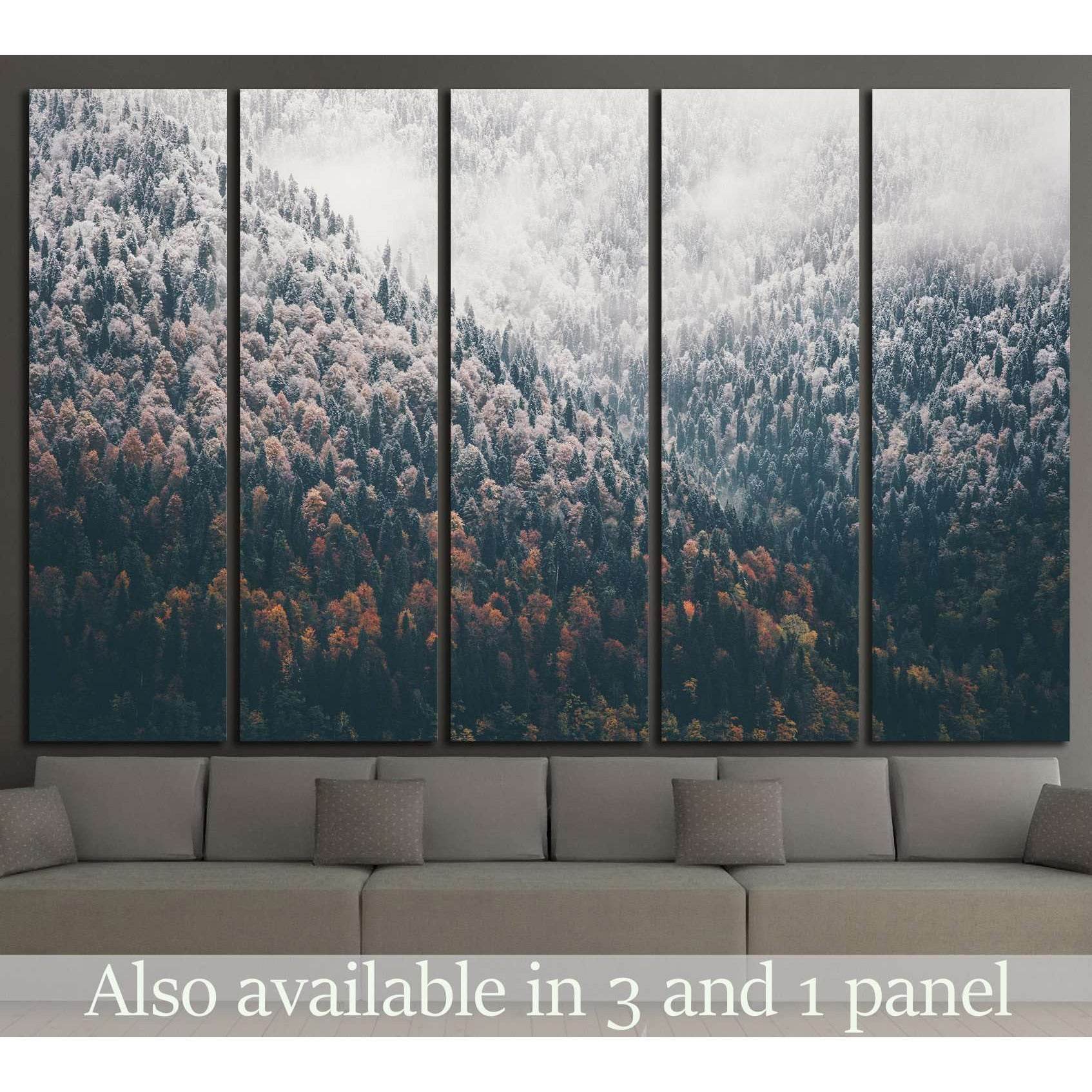 Foggy Autumn Coniferous Forest Landscape №1320 Ready to Hang Canvas Print - Zellart Canvas Prints ALL_Products, s-1320