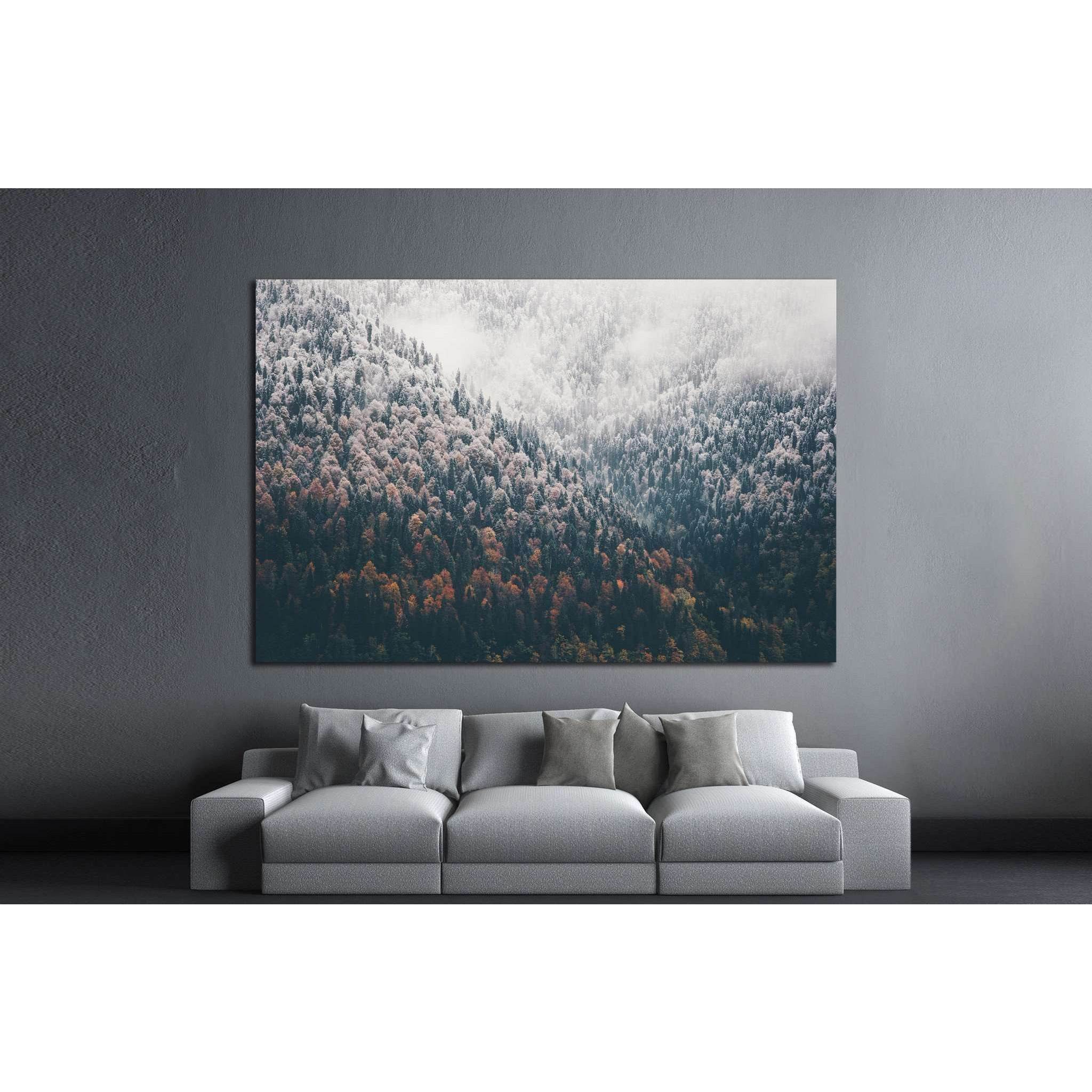 Foggy Autumn Coniferous Forest Landscape №1320 Ready to Hang Canvas Print