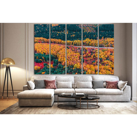 Forest And Road Aerial View №SL1485 Ready to Hang Canvas Print - Zellart Canvas Prints 0new, ALL_Products, AUTUMN WALL ART