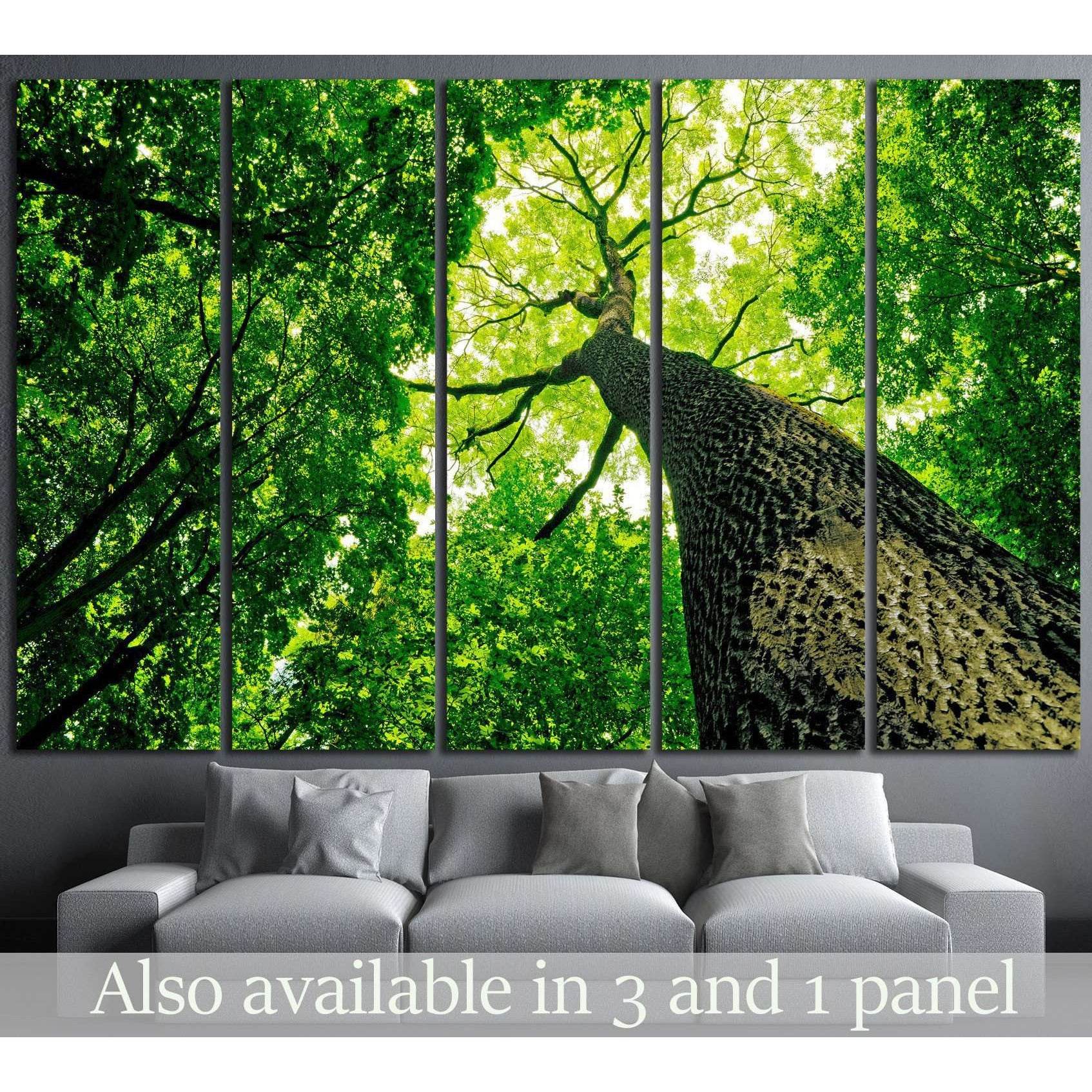 Large Tree Print Tree Canopy Canvas Print - Green Forest Wall Art - Zellart