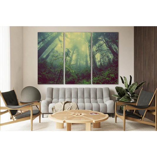 Forest Trees In The Fog №SL514 Ready to Hang Canvas Print - Zellart Canvas Prints 0new, ALL_Products, Trees Wall Art