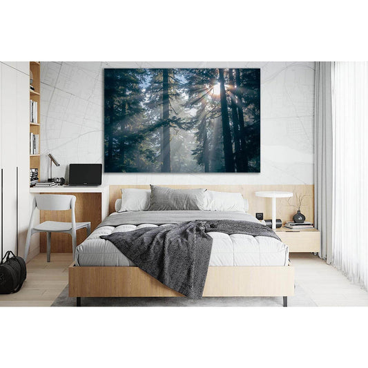 Forest Trees Silhouettes №SL505 Ready to Hang Canvas Print - Zellart Canvas Prints 0new, ALL_Products, Trees Wall Art