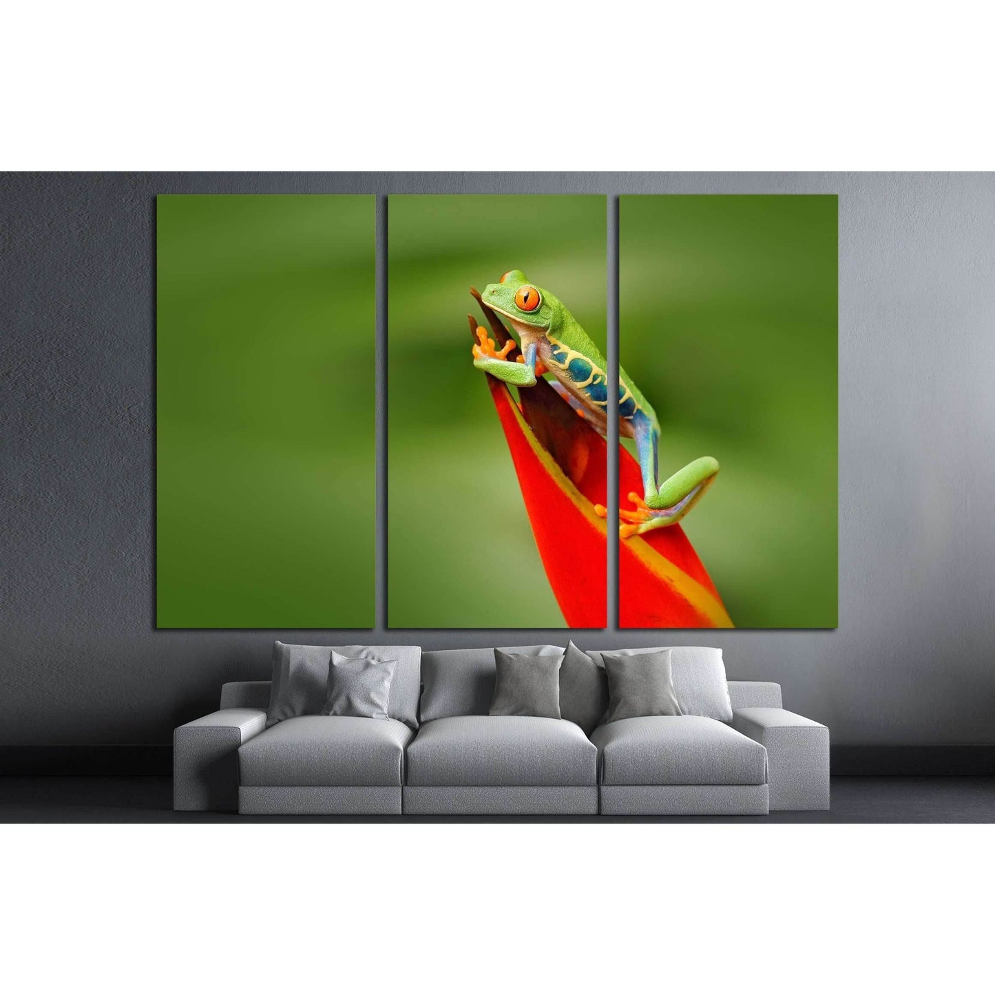 Frog in the nature. Beautiful frog in forest, exotic animal from central America, red flower №2803 Ready to Hang Canvas PrintCanvas art arrives ready to hang, with hanging accessories included and no additional framing required. Every canvas print is hand