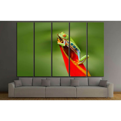 Frog in the nature. Beautiful frog in forest, exotic animal from central America, red flower №2803 Ready to Hang Canvas Print - Zellart Canvas Prints ALL_Products, s-2803