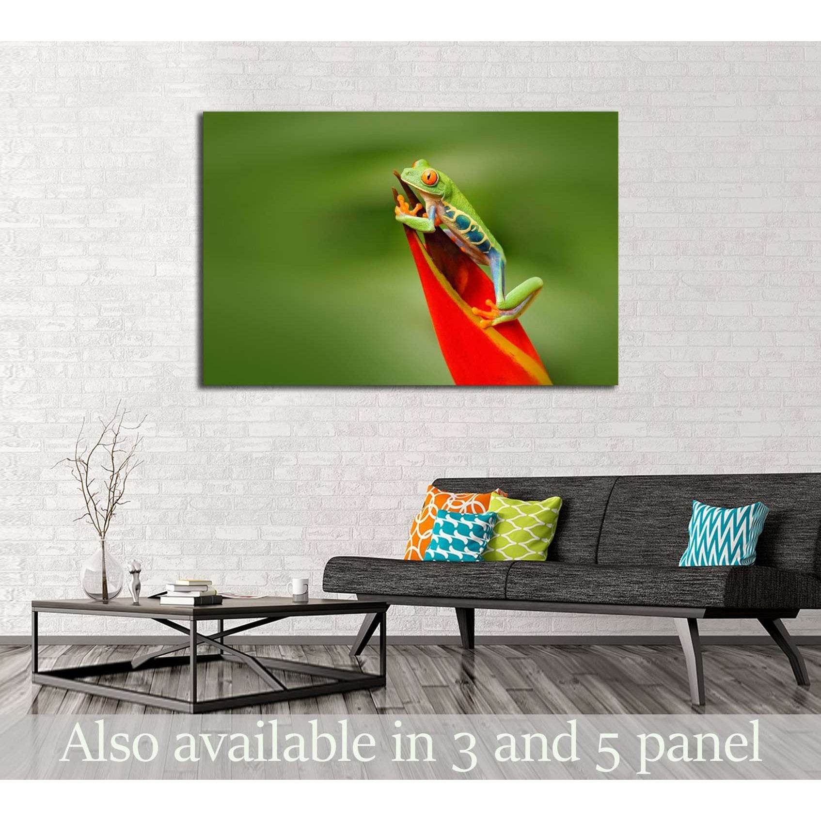 Frog in the nature. Beautiful frog in forest, exotic animal from central America, red flower №2803 Ready to Hang Canvas Print - Zellart Canvas Prints ALL_Products, s-2803