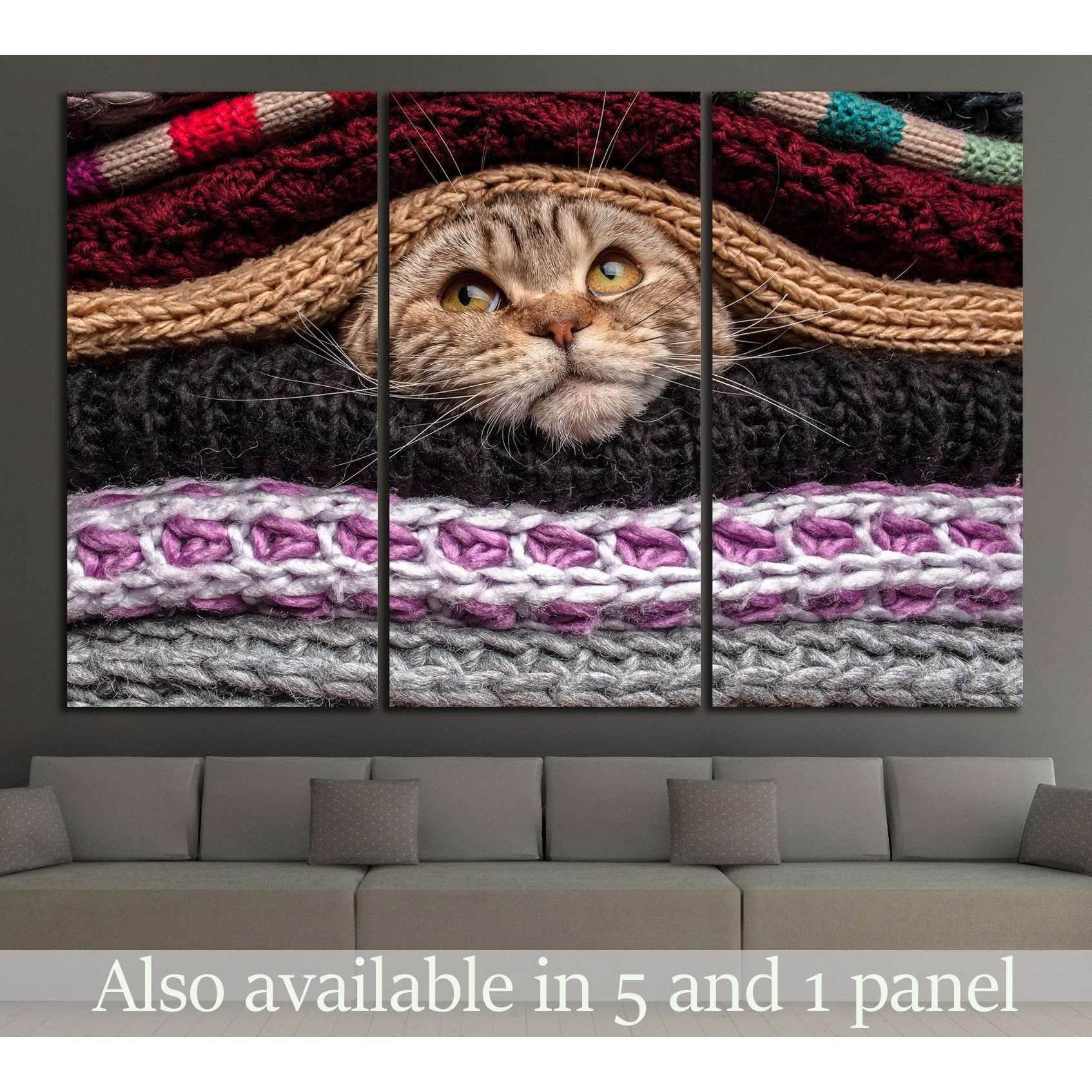 Funny Cat №554 Ready to Hang Canvas PrintCanvas art arrives ready to hang, with hanging accessories included and no additional framing required. Every canvas print is hand-crafted, made on-demand at our workshop and expertly stretched around 100% North Am