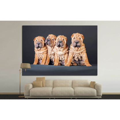 Funny Dogs №12 Ready to Hang Canvas Print - Zellart Canvas Prints ALL_Products, s-12