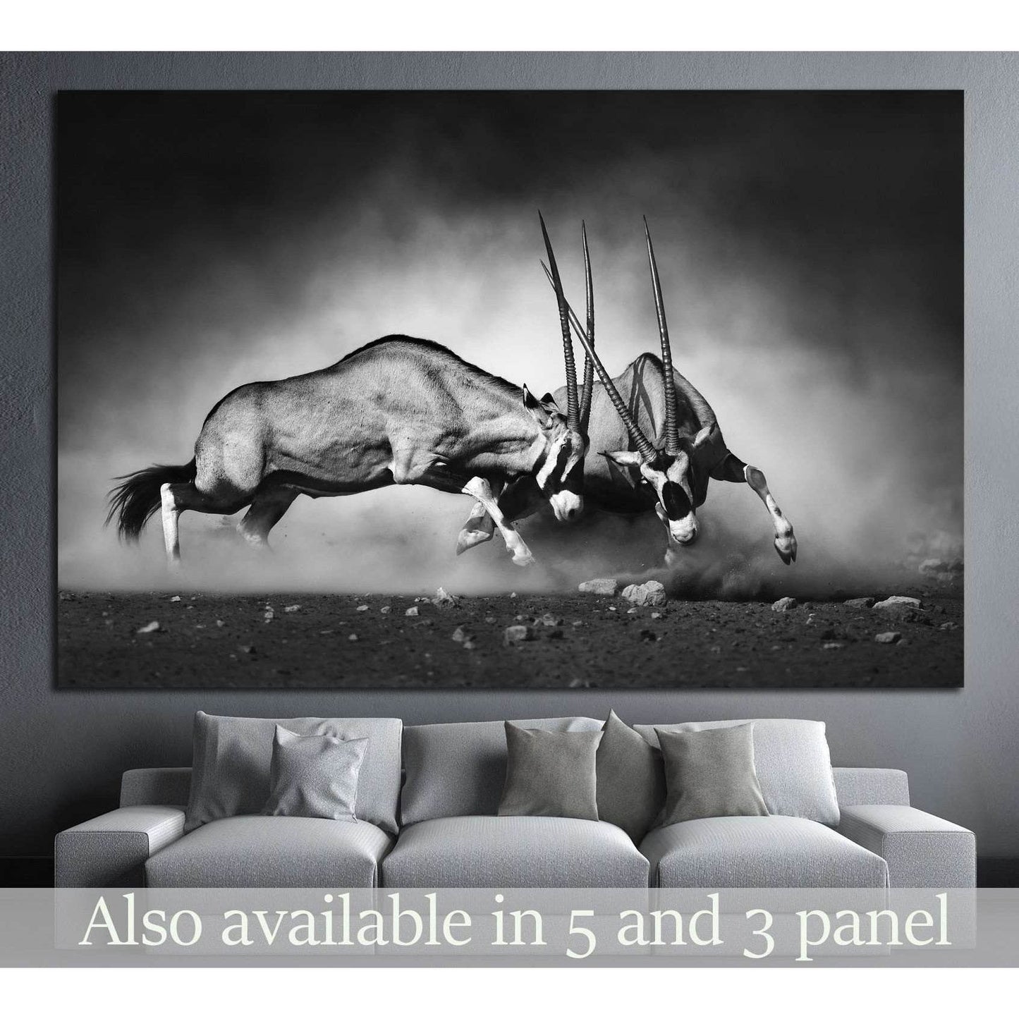Gemsbok dual №743 Ready to Hang Canvas Print - Zellart Canvas Prints ALL_Products, s-743