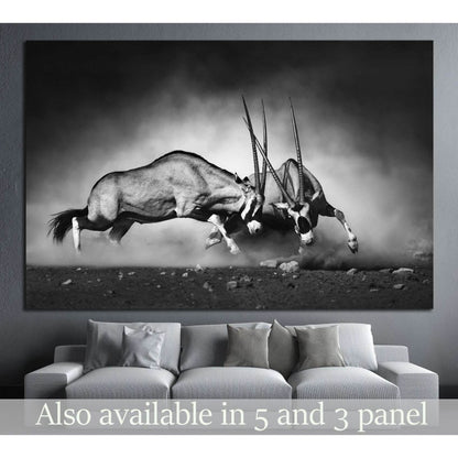 Gemsbok dual №743 Ready to Hang Canvas Print - Zellart Canvas Prints ALL_Products, s-743