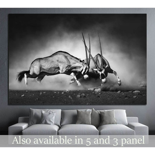 Gemsbok dual №743 Ready to Hang Canvas PrintCanvas art arrives ready to hang, with hanging accessories included and no additional framing required. Every canvas print is hand-crafted, made on-demand at our workshop and expertly stretched around 100% North