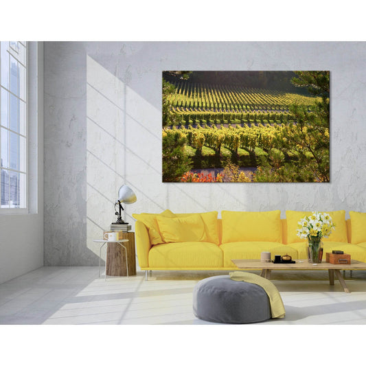 German Vineyard №04208 Ready to Hang Canvas Print - Zellart Canvas Prints ALL_Products