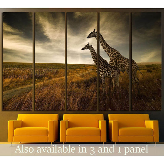 Giraffes and The Landscape №1836 Ready to Hang Canvas Print - Zellart Canvas Prints ALL_Products, s-1836
