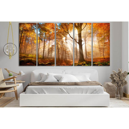Golden Forest In Autumn №SL618 Ready to Hang Canvas Print - Zellart Canvas Prints 0new, ALL_Products, Autumn Wall Art