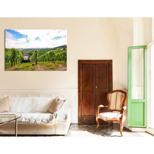Grape Wines In Southern Styria Austria №04207 Ready to Hang Canvas Print - Zellart Canvas Prints ALL_Products