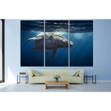 Great Whale №504 Ready to Hang Canvas Print