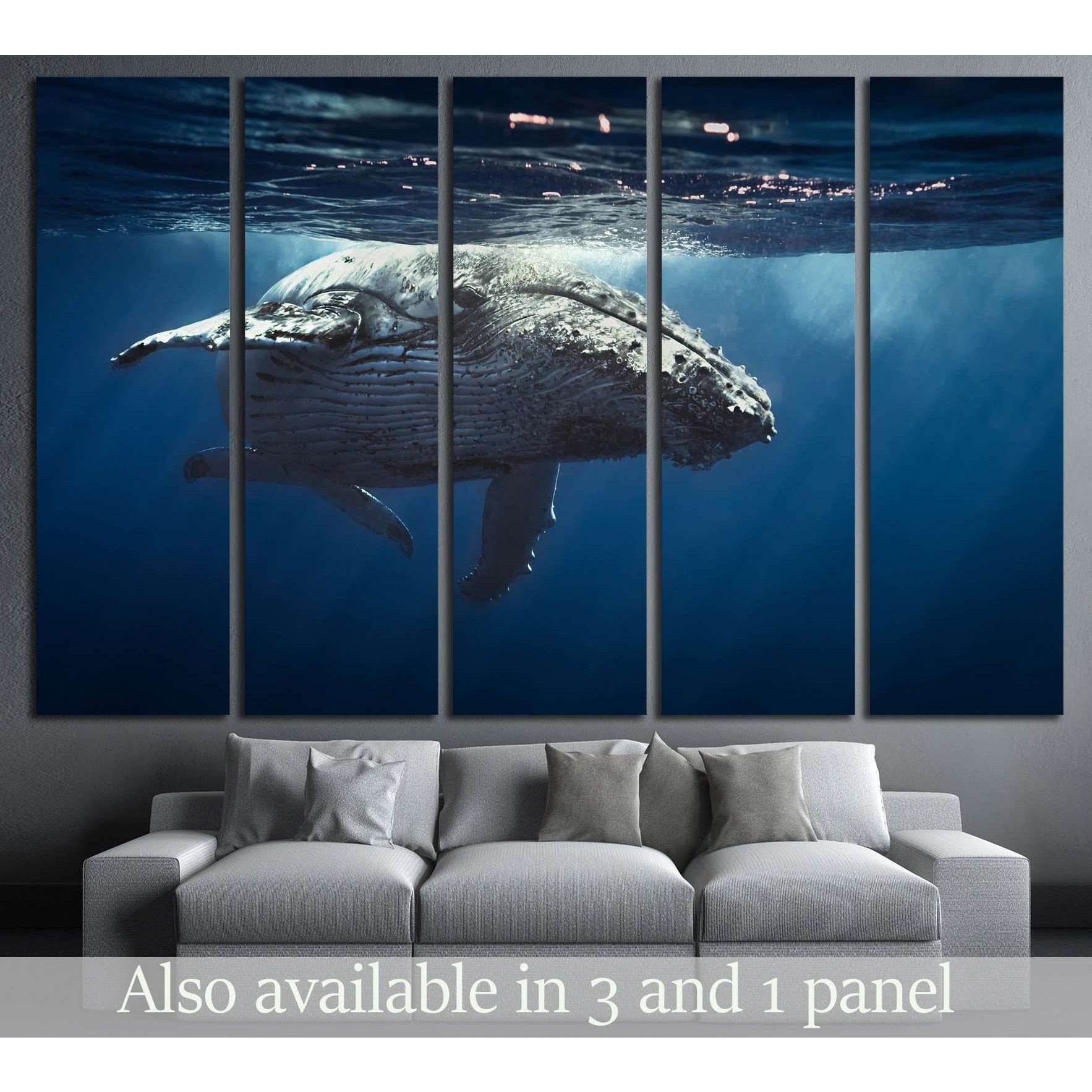 Great Whale №504 Ready to Hang Canvas Print