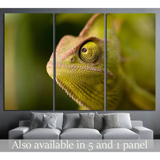 Green chameleon camouflaged by taking colors of its natural background №1829 Ready to Hang Canvas Print - Zellart Canvas Prints ALL_Products, s-1829