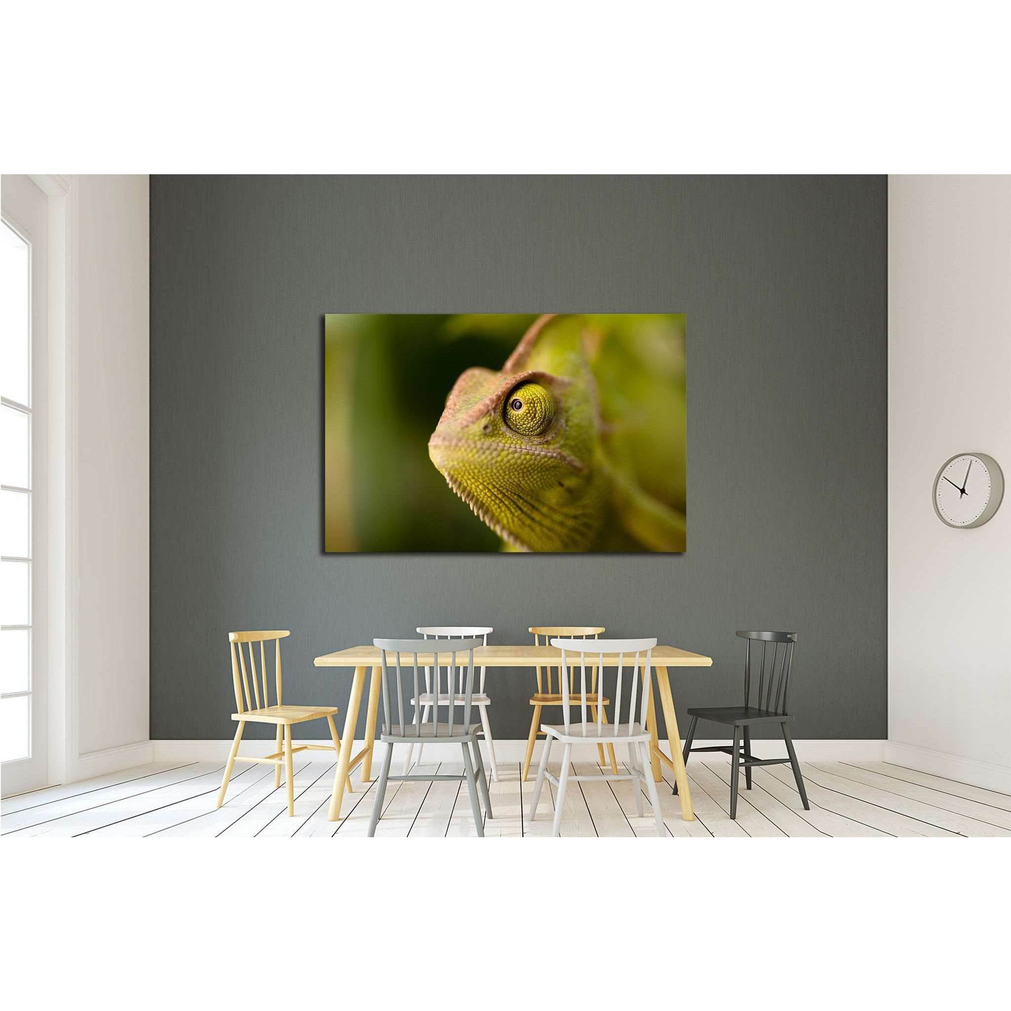 Green chameleon camouflaged by taking colors of its natural background №1829 Ready to Hang Canvas Print