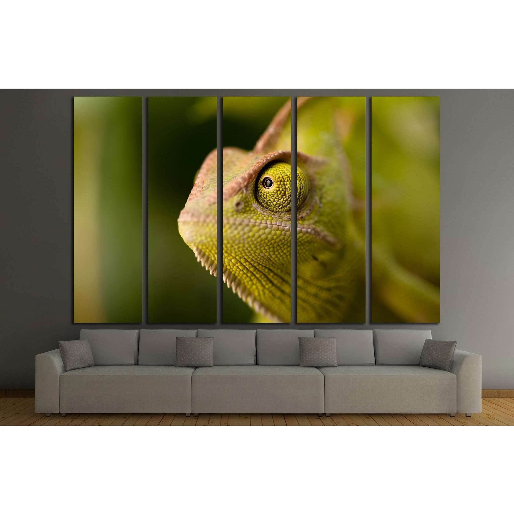 Green chameleon camouflaged by taking colors of its natural background №1829 Ready to Hang Canvas Print